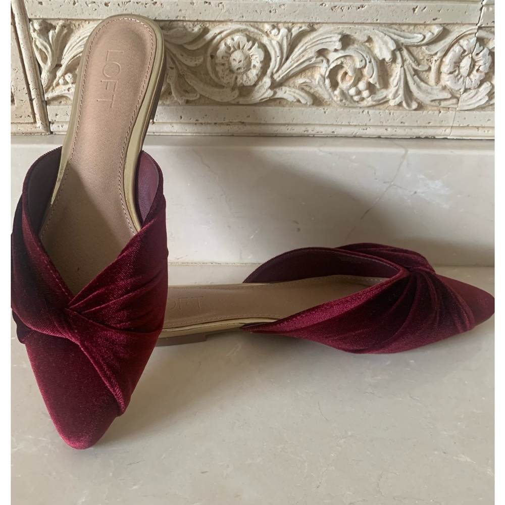 Beautiful velvet mules you can wear anywhere.